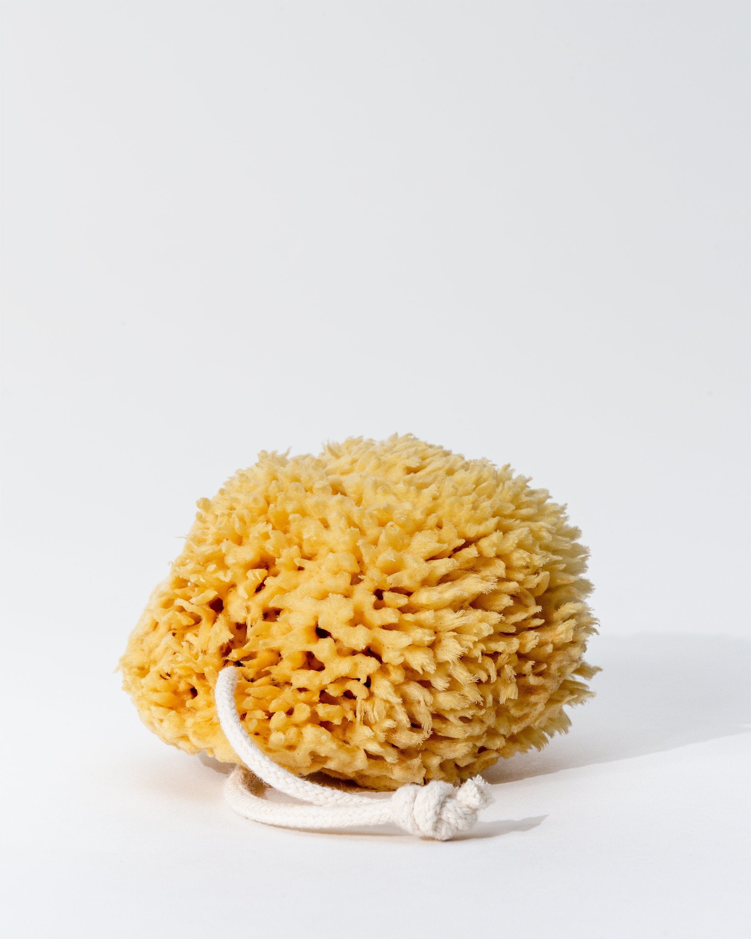 Premium Wool Sea Sponges for Babies